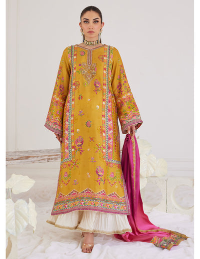 Shop Pakistani suits singapore online shopping