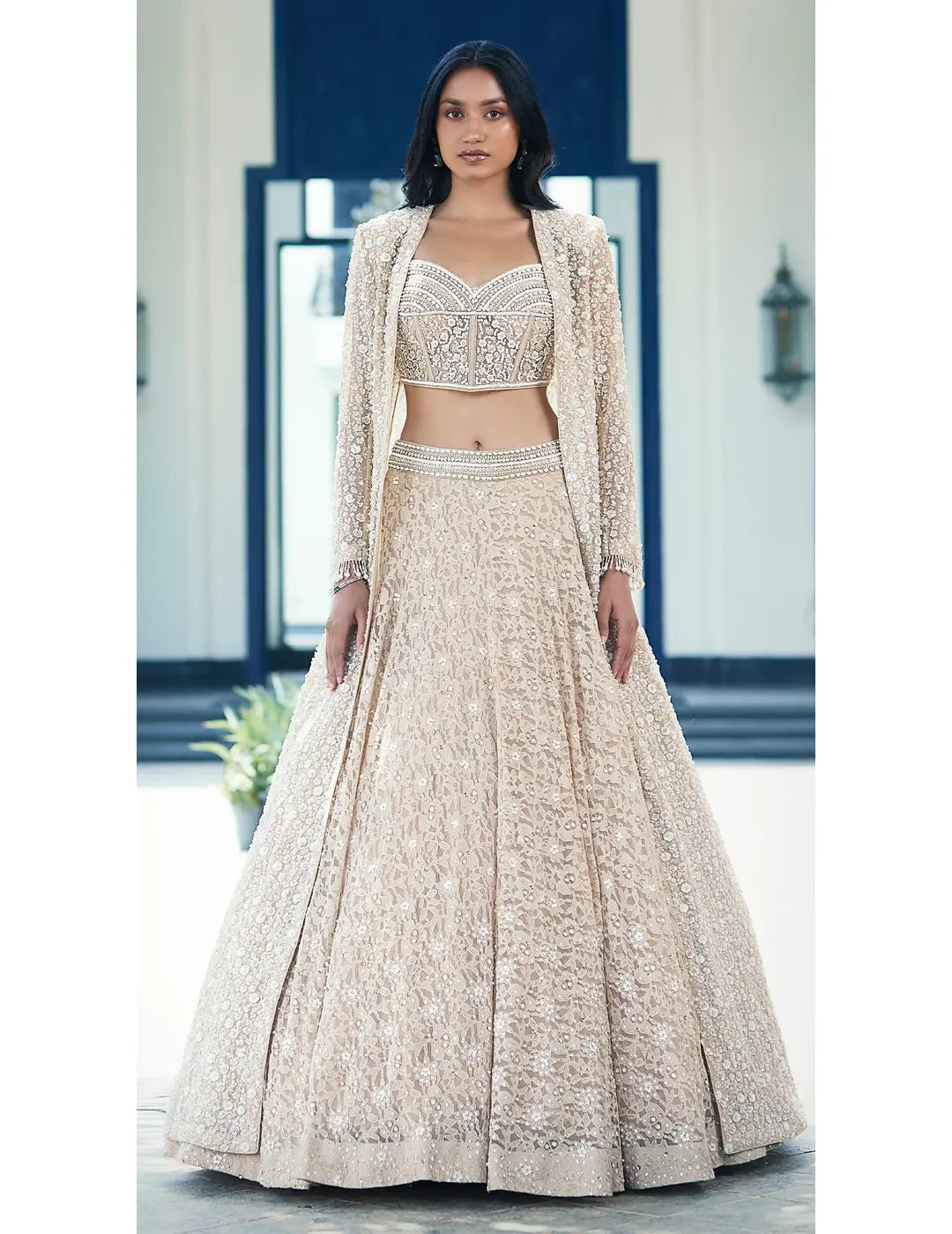 Beige Chantilly Net Embroidered Lehenga Set