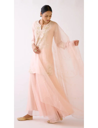 Baby Pink Embroidered Sharara Set