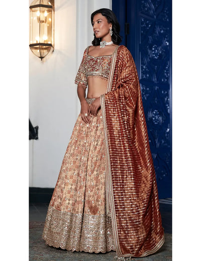 Rust Banarasi Weave Embroidered Lehenga Set