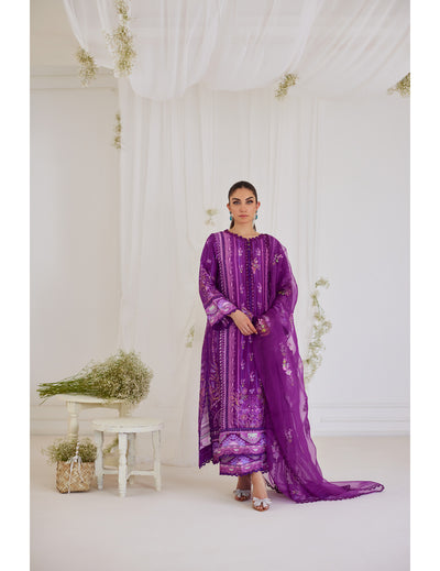 Kurta Pant & Dupatta singapore