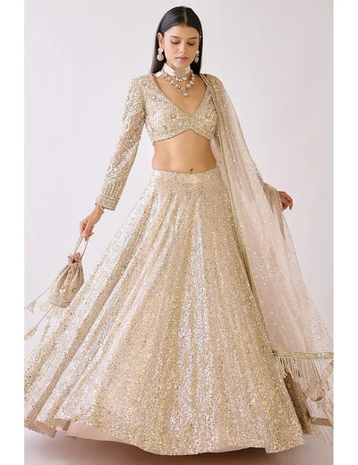 Gold Silk & Butterfly Net Lehenga Set