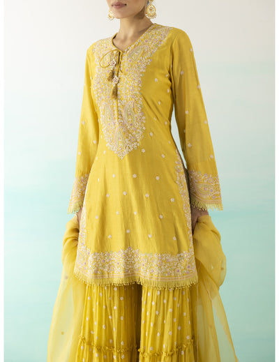 Yellow Embroidered Suit Set