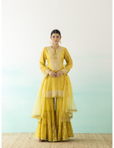 Yellow Embroidered Suit Set