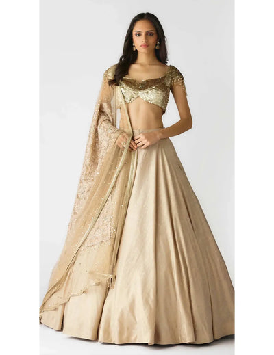 The Celestial Glow Lehenga