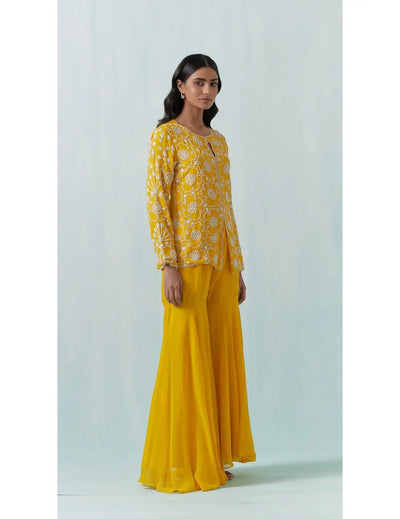 buy online Yellow Embroidered Co-ords 